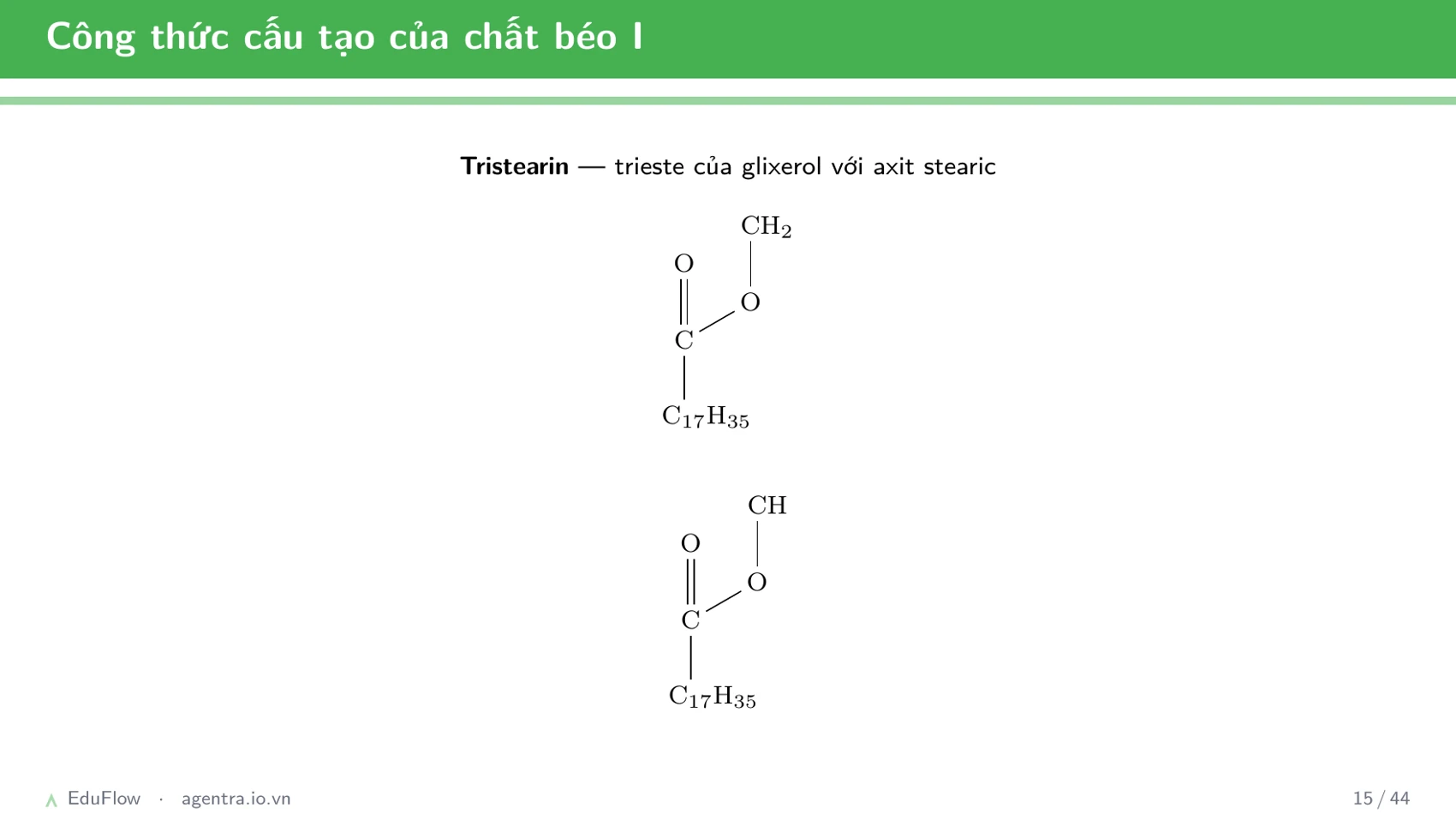 Este và chất béo — slide 15