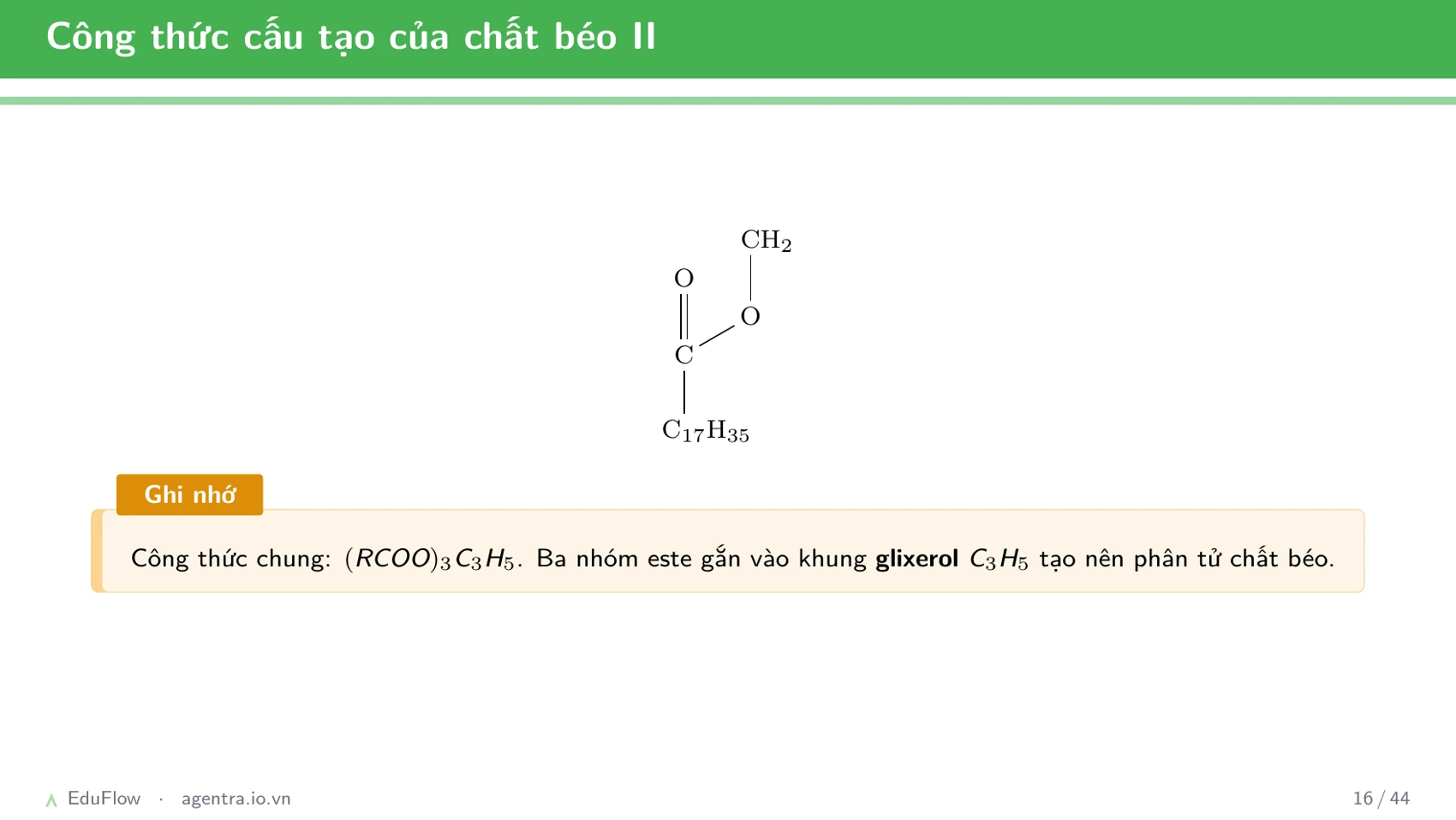 Este và chất béo — slide 16