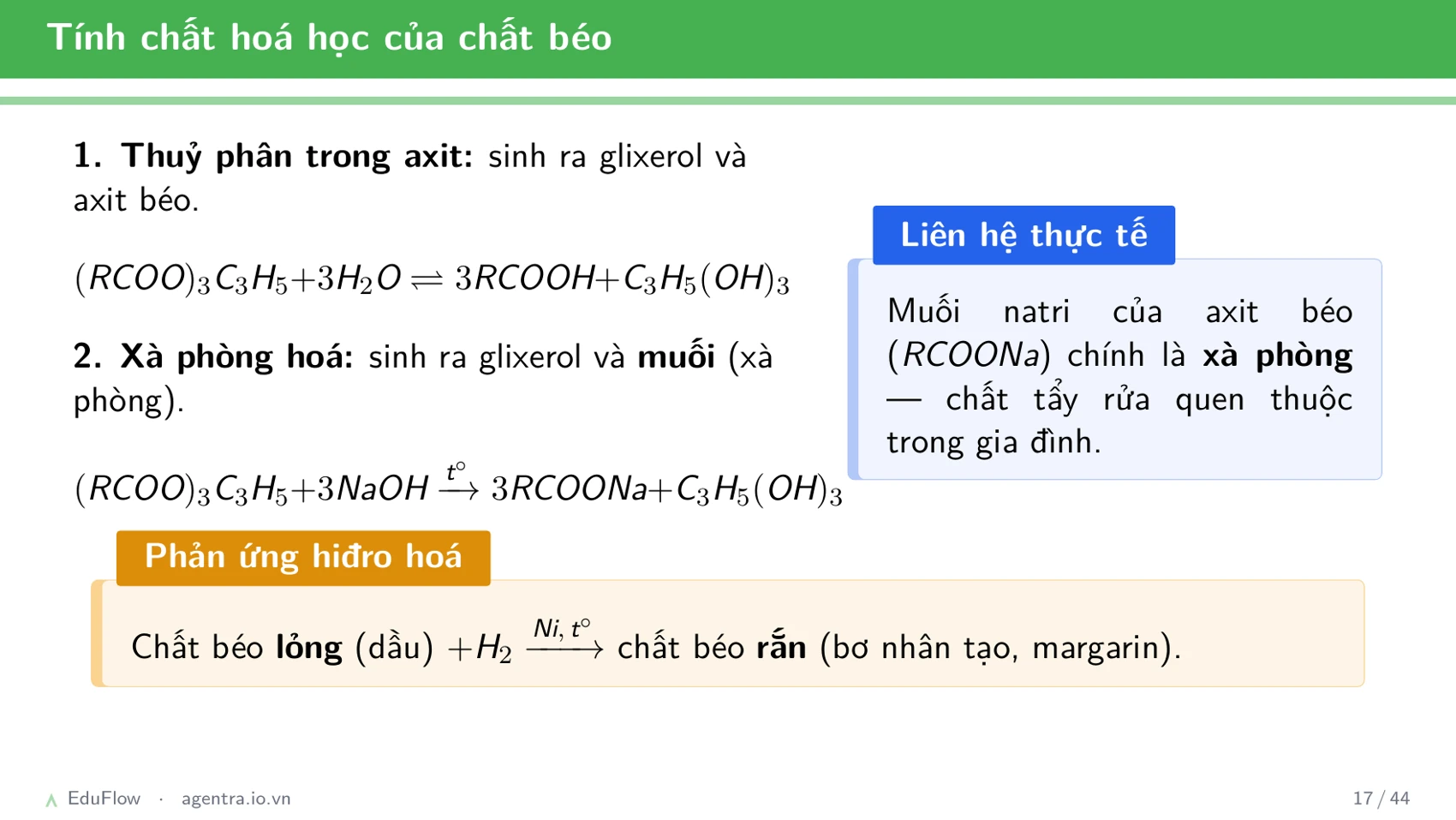 Este và chất béo — slide 17