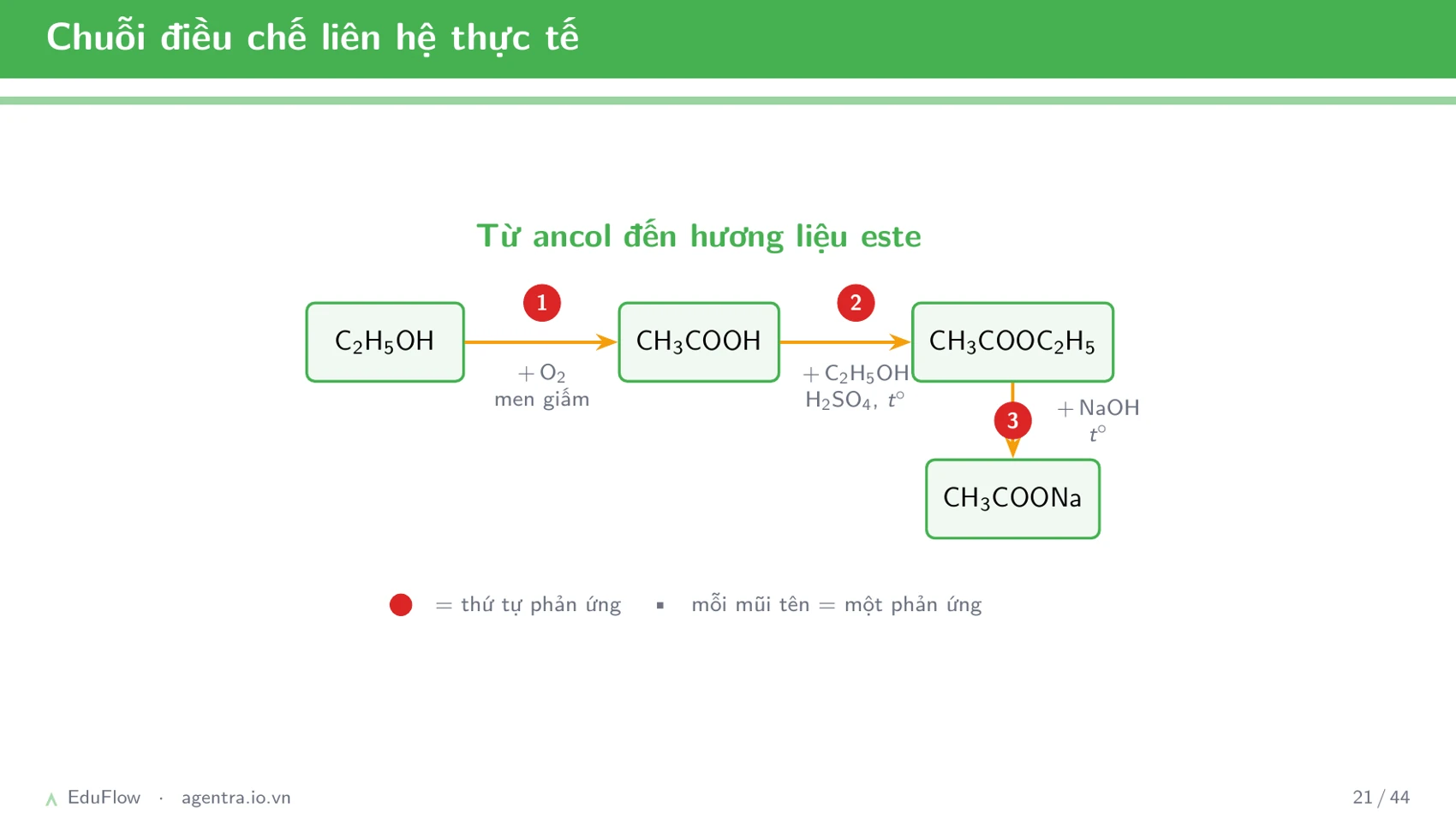 Este và chất béo — slide 21