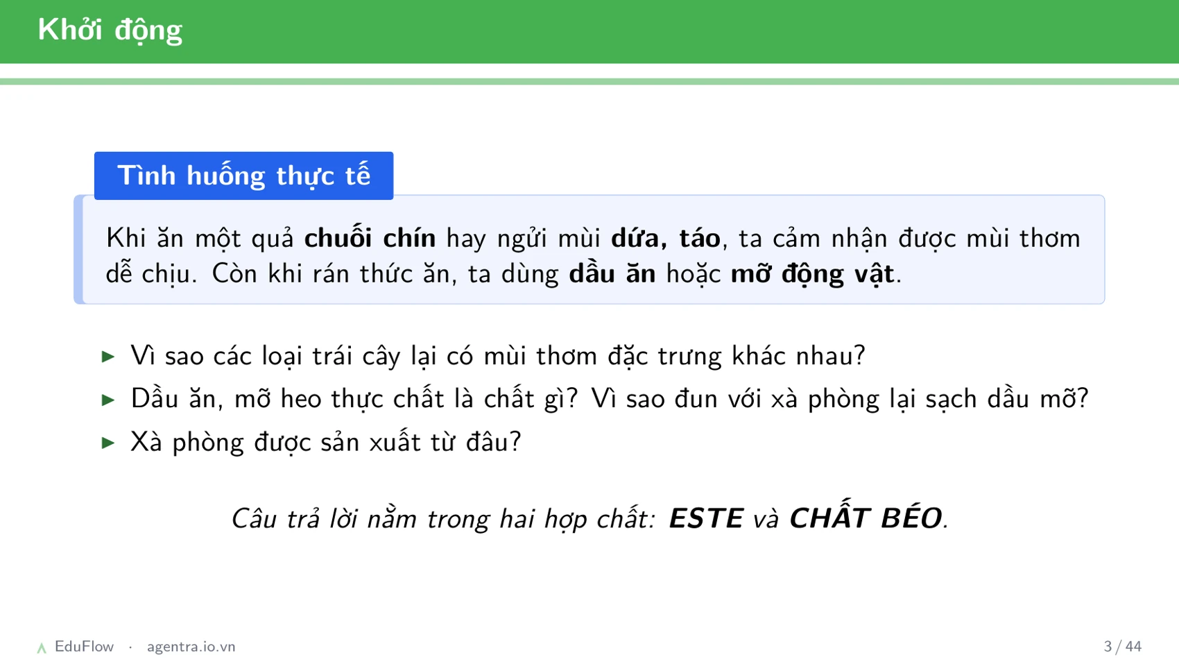Este và chất béo — slide 3