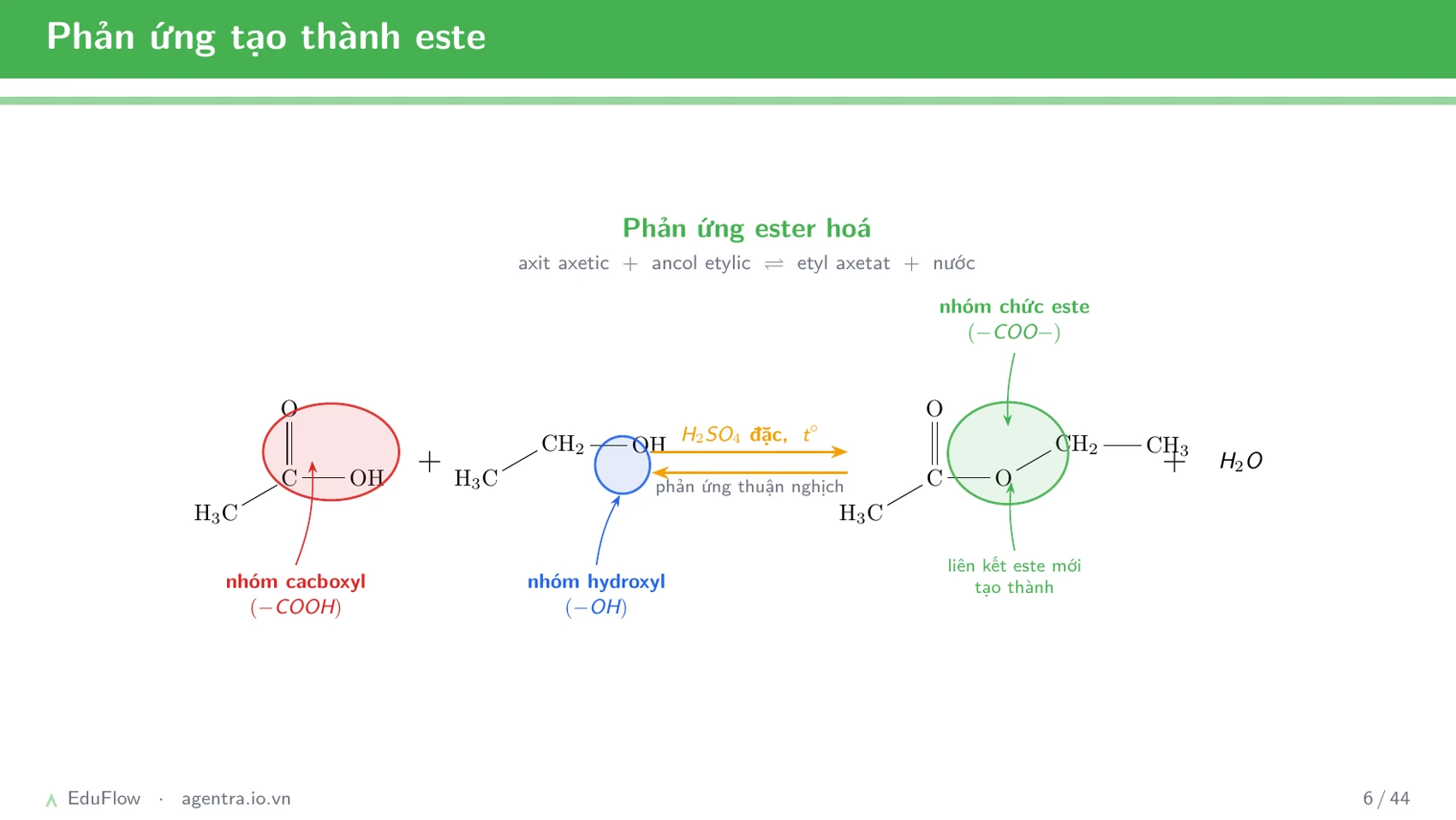 Este và chất béo — slide 6