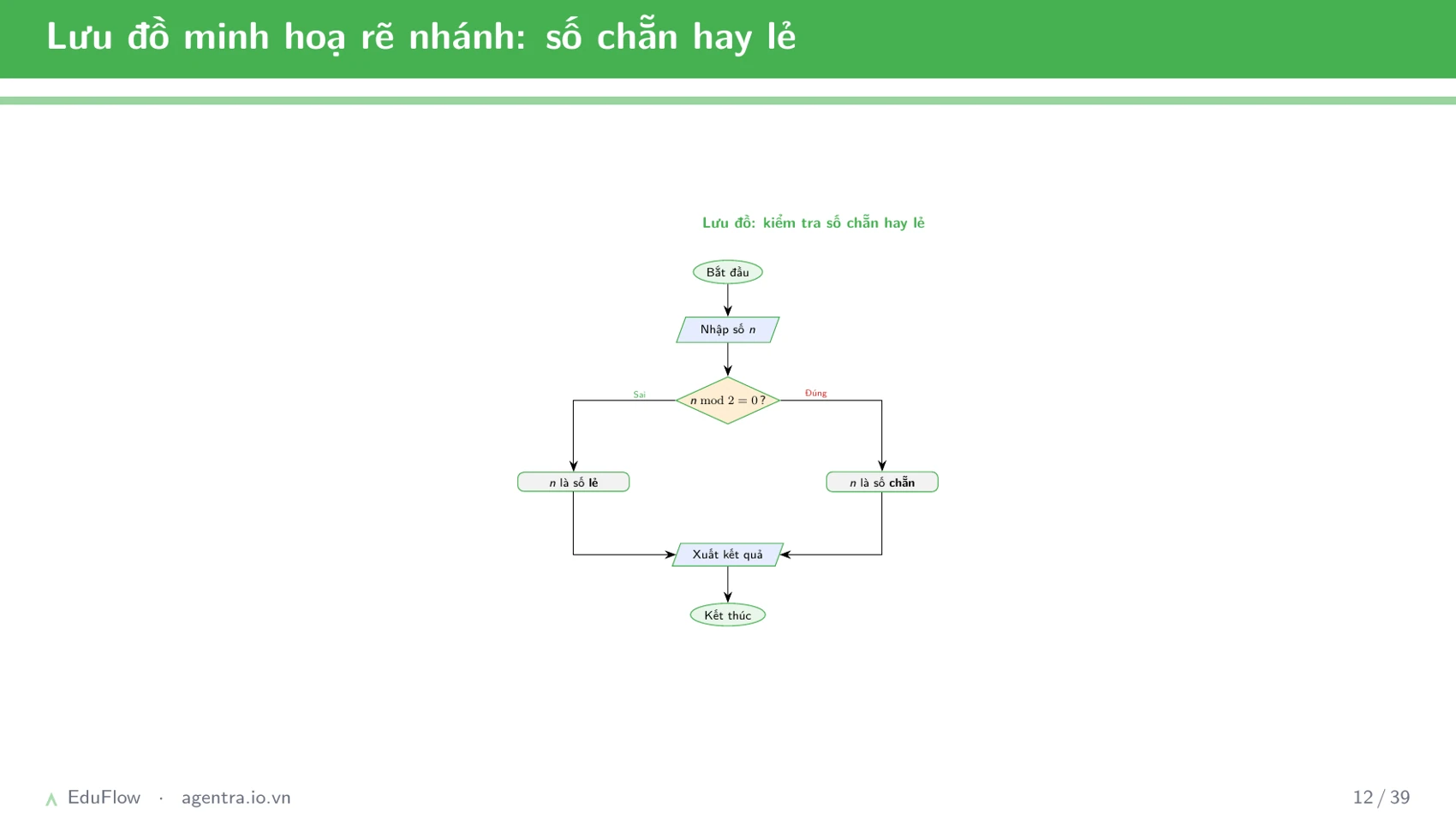 Thuật toán và cấu trúc điều khiển — slide 12