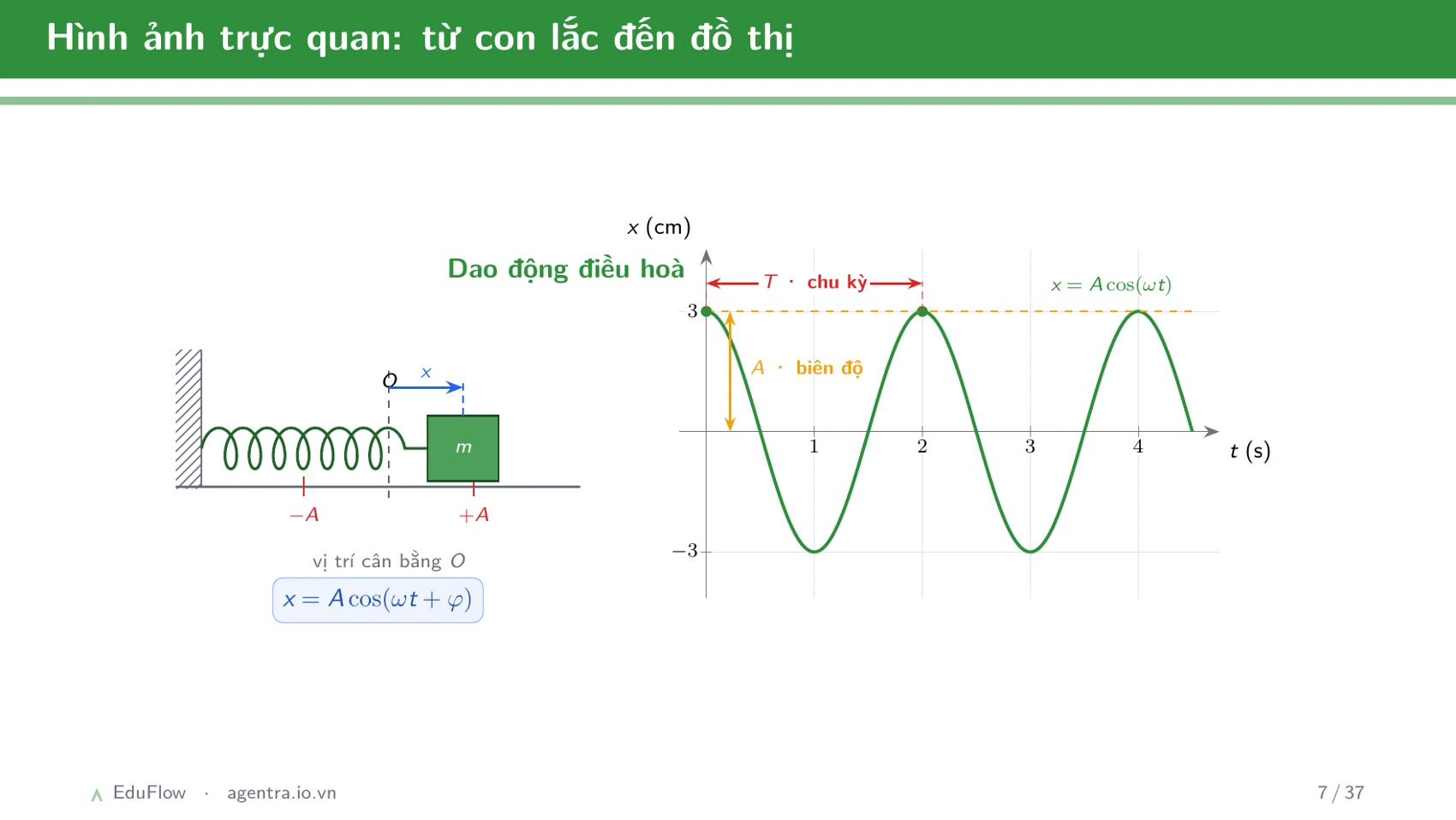 Dao động điều hòa và các đại lượng đặc trưng — slide 7